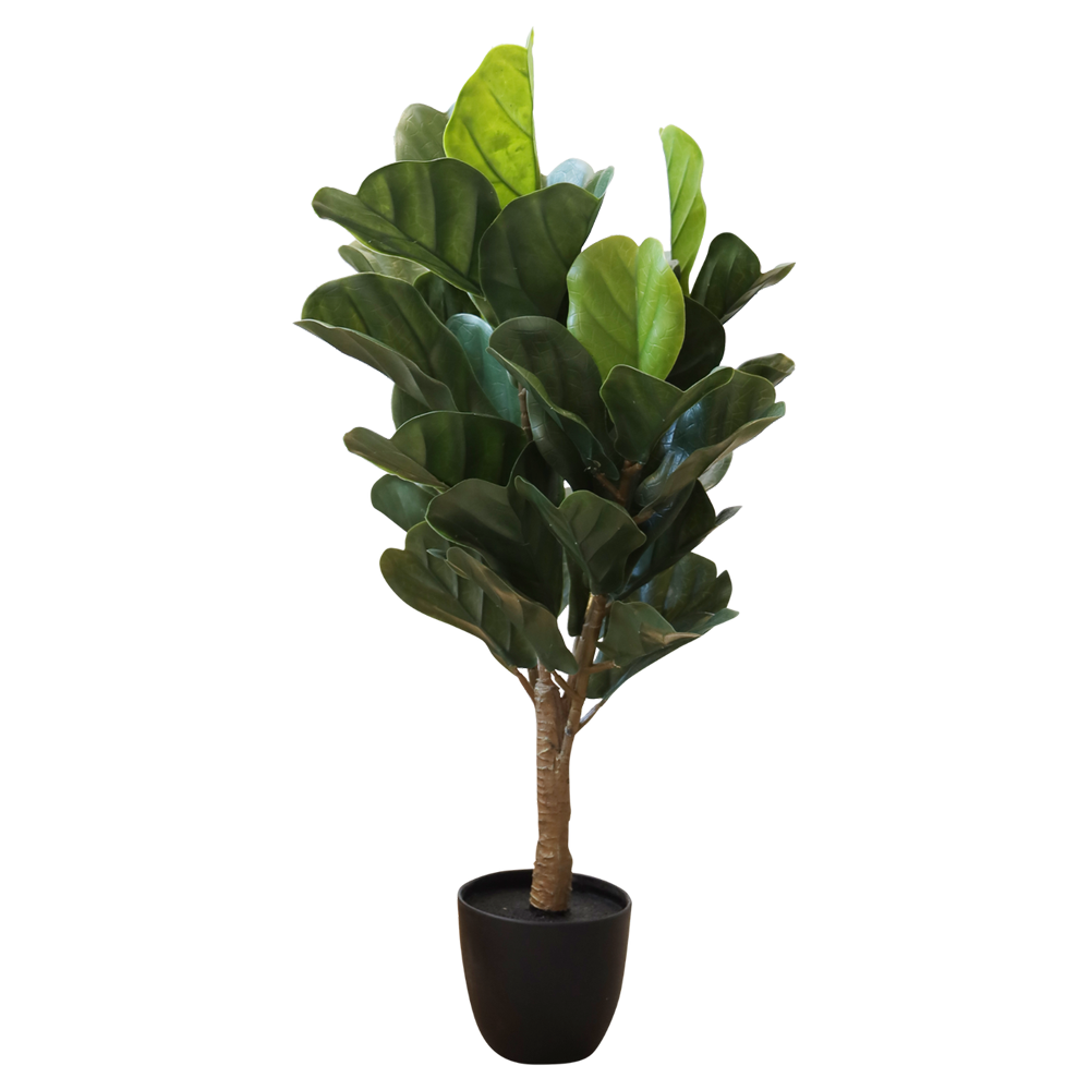 Planta Decorativa Hakan