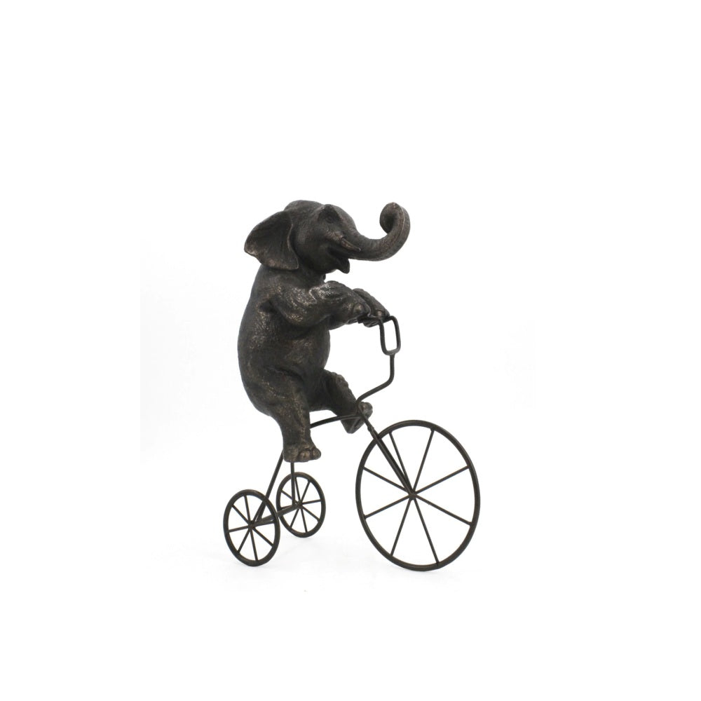 ELEFANTE NUK EN BICICLETA