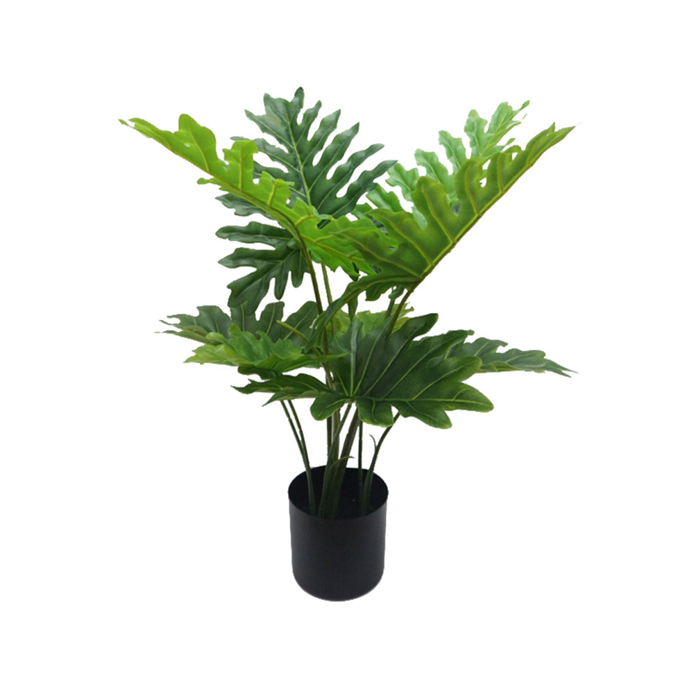 Planta Decorativa Happy