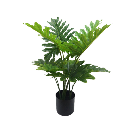Planta Decorativa Happy